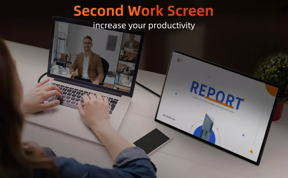18.5 Inch 1080p Portable Monitor